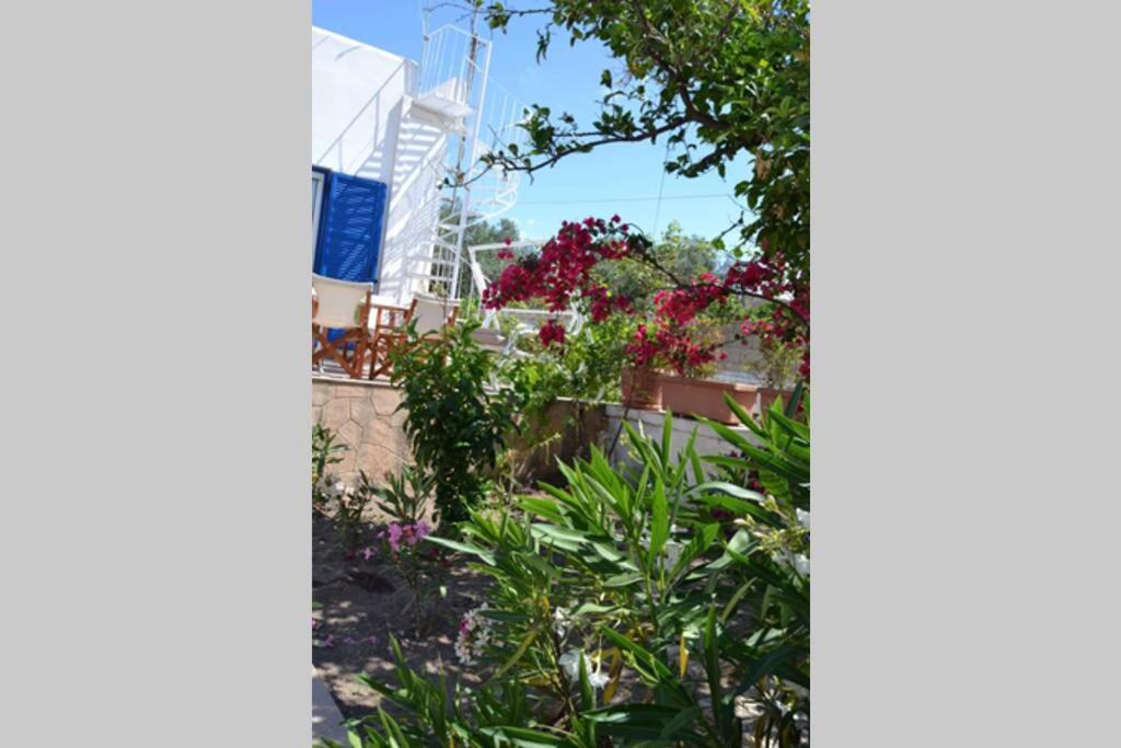 Aegina House Apartment Exterior photo