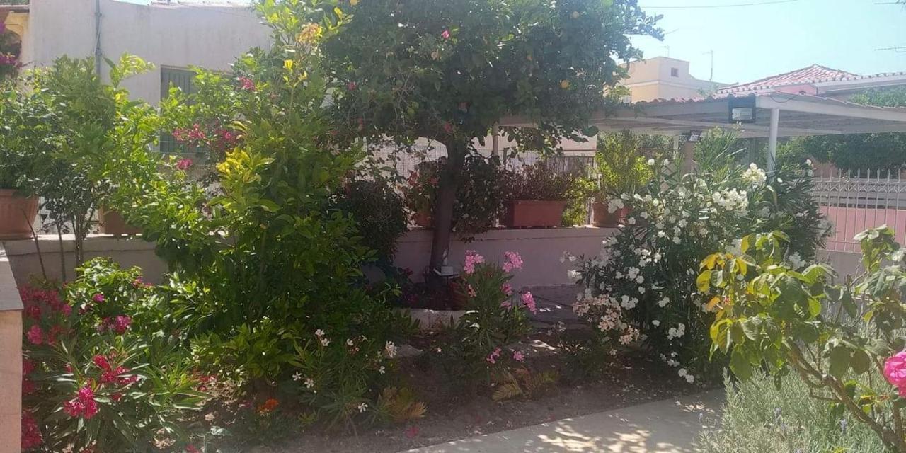Aegina House Apartment Exterior photo
